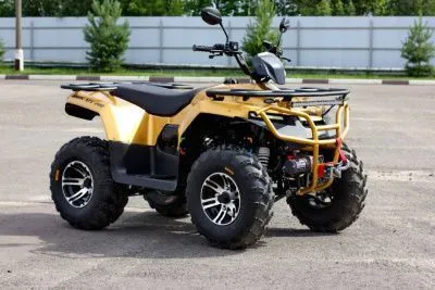 Квадроцикл IRBIS (Ирбис) ATV 250 Premium 2024 зелёный с ПСМ