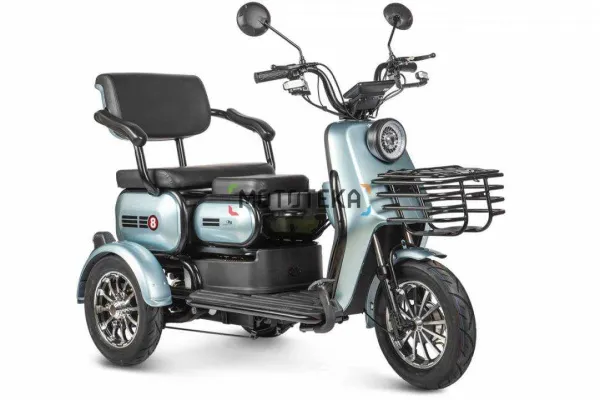 Пассажирский электротрицикл Rutrike (Рутрайк) Патрон
