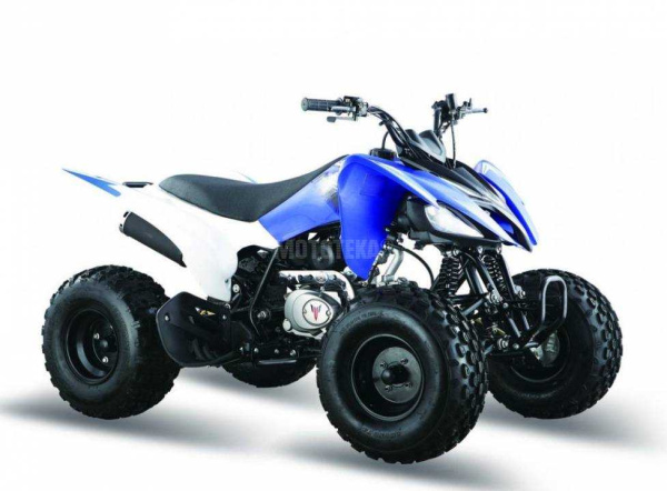 Квадроцикл Мотомир PANTERA 200 CVT (машинокомплект) Квадроцикл Мотомир PANTERA 200 CVT (машинокомплект)